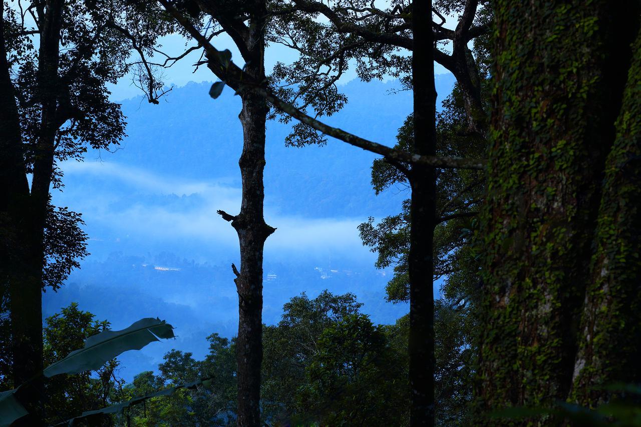 Madhumanthra Resort - Homestay Munnar Exterior foto