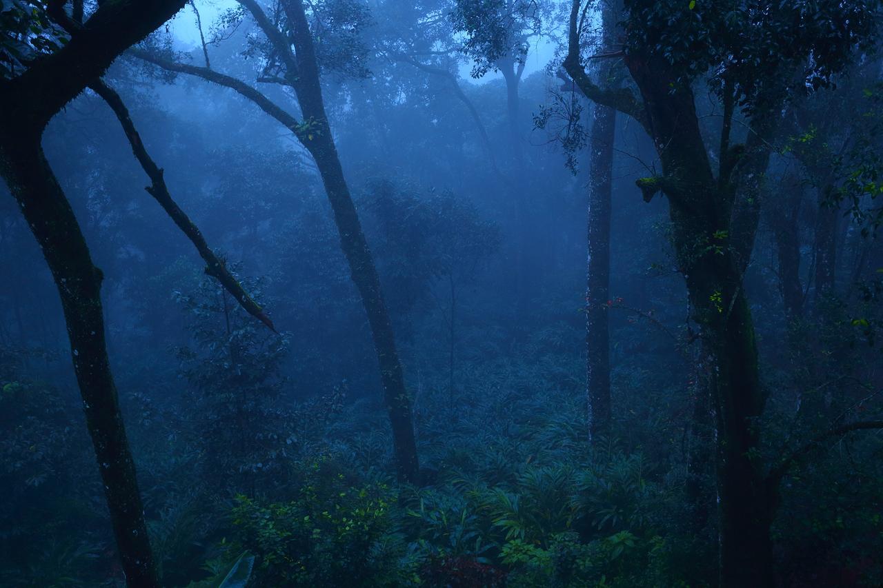 Madhumanthra Resort - Homestay Munnar Exterior foto