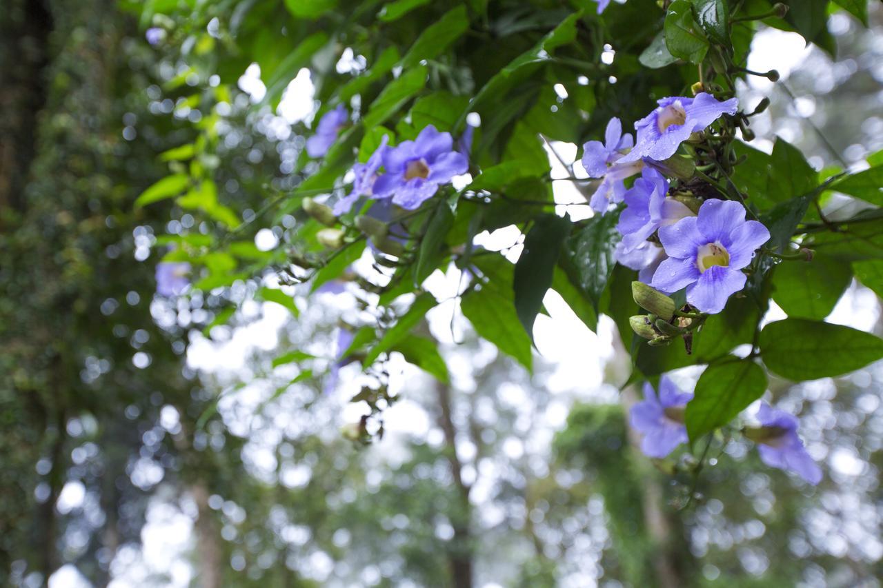 Madhumanthra Resort - Homestay Munnar Exterior foto